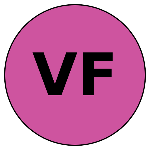 VisionFit