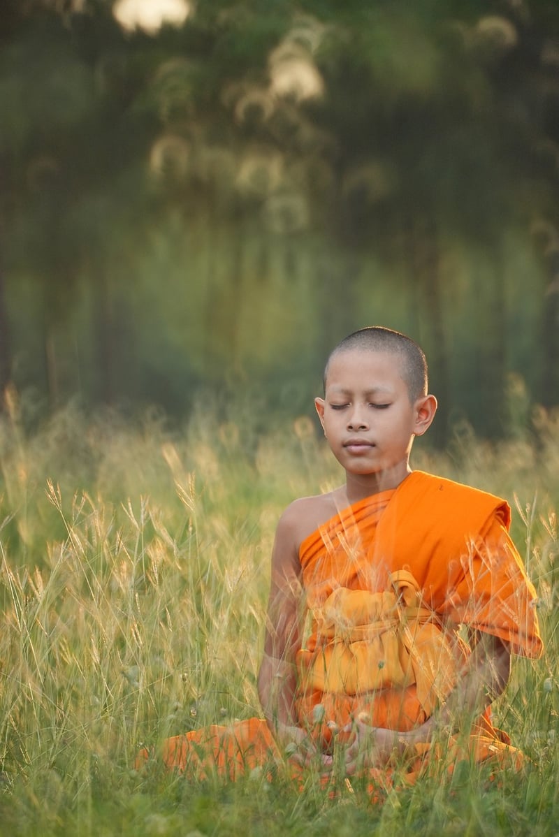 Outdoor yoga